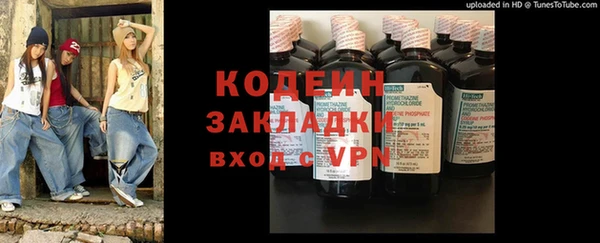 спиды Богданович