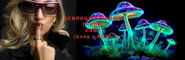 спиды Богданович