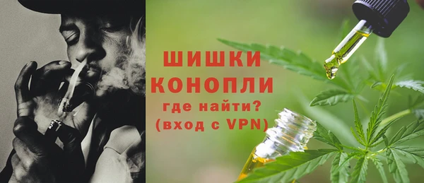 спиды Богданович