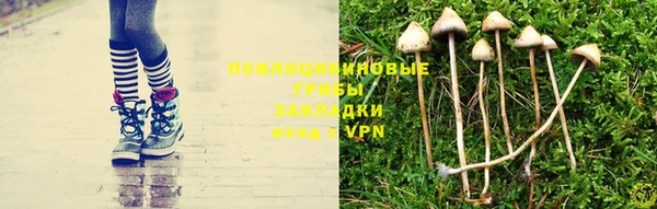 не бодяженный Богородск