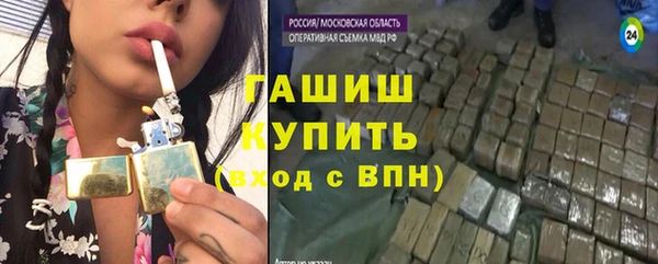спиды Богданович