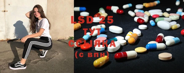 спиды Богданович