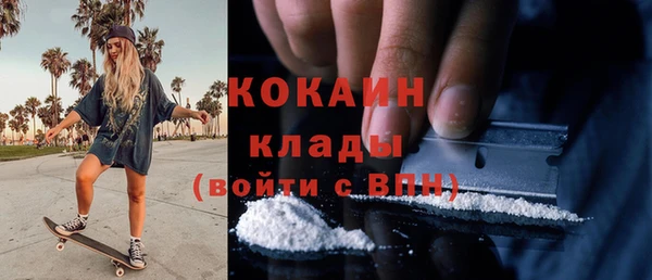 спиды Богданович